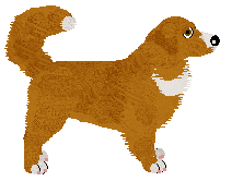 Profile image of Evanescence Quiet at Dawn