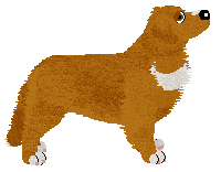 Evanescence Breathing Into You — “Jamie”