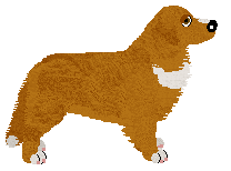 Profile image of Evanescence Breathing Into You