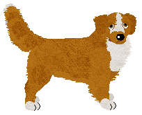 Profile image of Evanescence Shooting Star