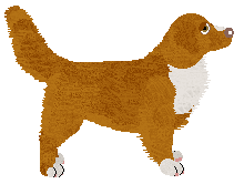 Profile image of Evanescence Starlit Presence