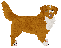 Profile image of Evanescence Starlit Presence