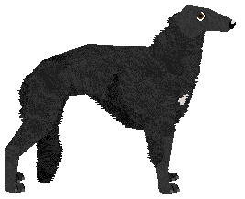 Ravenskeep Opportune Moment — “Samaya”