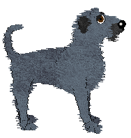 Ravenskeep Darrington — “Darrington”