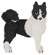 Profile image of Wolf Hollow's Viktore