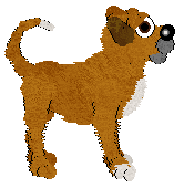 MMK's Share a Slice — “Cheesecake”