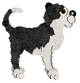 MMK's Valor Then Victory — “Valor”