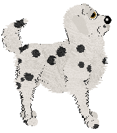 EC's Told I'm Gold — “Goldie”