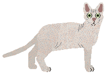 The Mob's Naked Beauty — “Dasha”