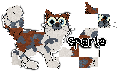 Profile image of Krunchez/Patchwork's This Is Sparla!