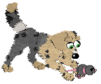 Medusa Shimmering Emerald — “Magic”