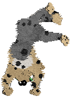 Medusa Shimmering Emerald — “Magic”