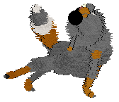 Seaglass/Mockingbird's In Perfect Point — “Zehorel”