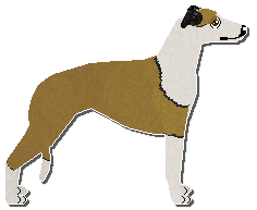 Profile image of Jetstream Manky Swans Cannae Read