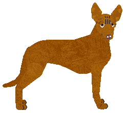 Profile image of Rosestone's A Wonderful Life