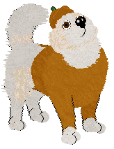 Cirrutopia's Old Gaelic — “Alastar”