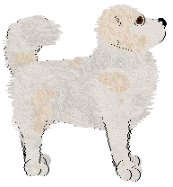 Profile image of Cirrutopia's Old Gaelic