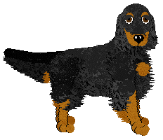 Aura's Perfect Storm — “Buster”