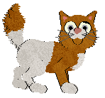 Toto's Regal by Name @ Mockingbird — “Franc”