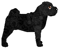 Monkshood Black Tortoise — “Heise”