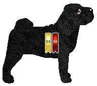 Conformation Champion: Monkshood Black Tortoise