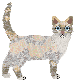 Remirys Southern Belle — “Baby”