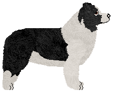 Silvermyst Pattern in the Stars — “Dipper”