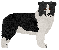 Profile image of Silvermyst Pattern in the Stars