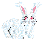 SBR/Coriander's Frost Warning — “Blizzard”