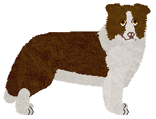 Profile image of Silvermyst Any Other Day