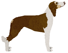 Ravenskeep Gorgeous Butterfly — “Farasha”