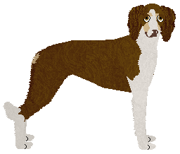 Profile image of Ravenskeep Gorgeous Butterfly