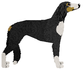 Ravenskeep Light of the Moon — “Mahtab”