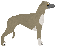 Ravenskeep Brave Like A Lion — “Tawny”