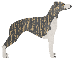 Ravenskeep Cameron — “Tamryn”