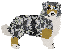 Profile image of Torleiv Silver Lining