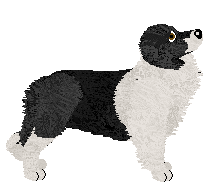 Fleetrun On The Moor — “Highmoor”