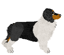 Fleetrun Not Just A Meadow — “Glenhaven”