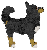 Fleetrun Dream A Little Dream — “Dream”