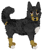 Fleetrun Dream A Little Dream — “Dream”