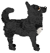 Fleetrun Echo Till Silence — “Echo”