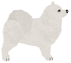 Wolf Hollow's Like A Hurricane — “Tornado”