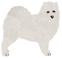 Profile image of Wolf Hollow's Whole Lotta Love