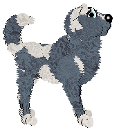 Xoops' Swirling Snowstorm at Vanilla — “Snowstorm”