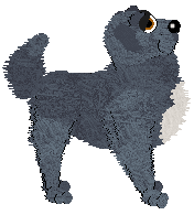 Chachke's Sugarplum Classic — “Raspberry”