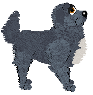 Chachke's Sugarplum Classic — “Raspberry”