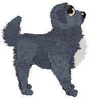 Profile image of Chachke's Sugarplum Classic