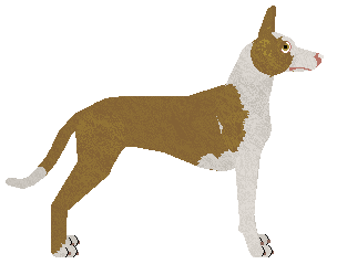 Rosestone's Based On Fantasy — “Fantastical”