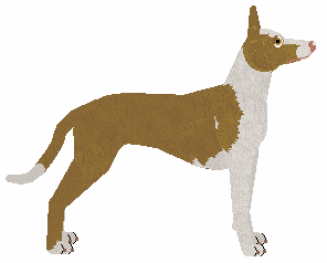 Rosestone's Based On Fantasy — “Fantastical”