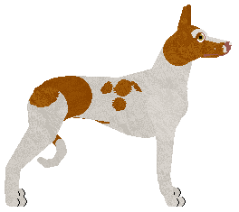 Rosestone's Rainy Day Surprise — “Dreary”